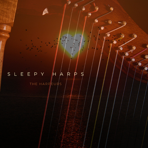 系统图像小鲤导航
