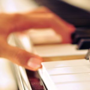 系统图像小鲤导航
