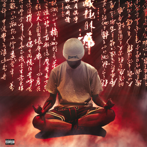 系统图像小鲤导航
