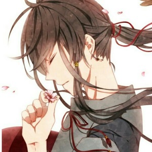 系统图像小鲤导航
