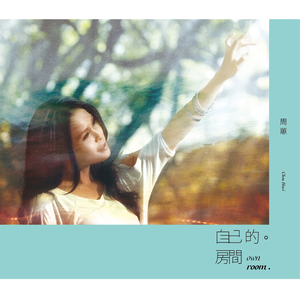 系统图像小鲤导航
