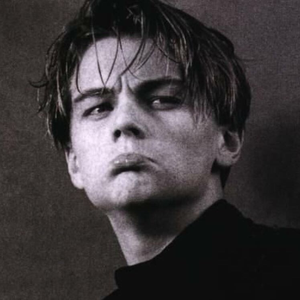 系统图像小鲤导航
