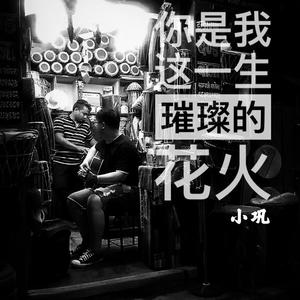 系统图像小鲤导航
