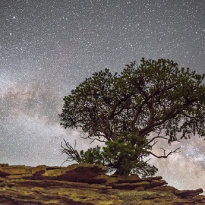 系统图像小鲤导航
