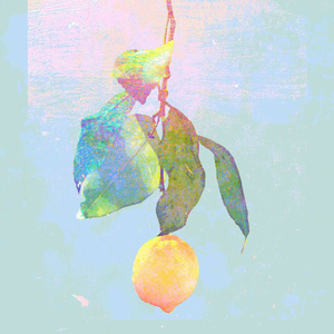 系统图像小鲤导航
