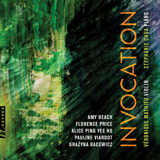 系统图像小鲤导航
