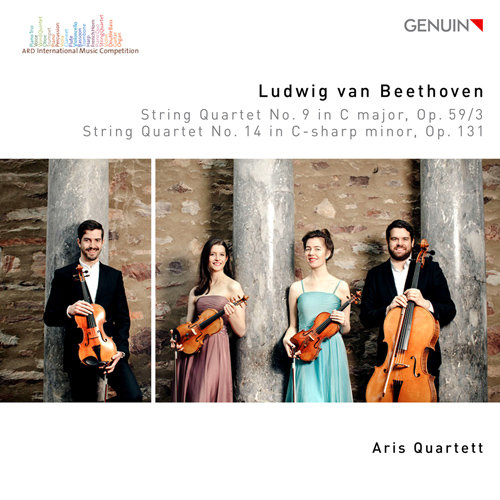 系统图像小鲤导航
