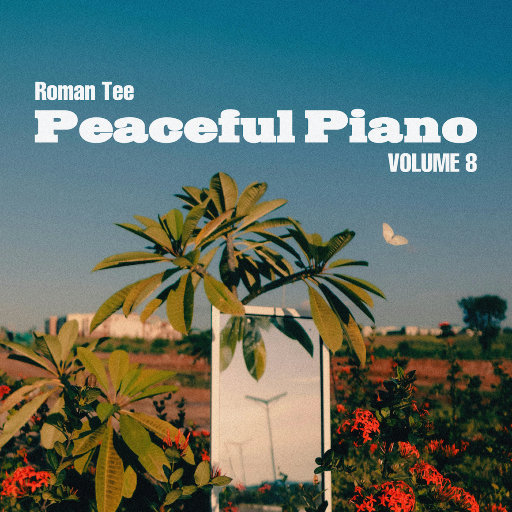 系统图像小鲤导航
