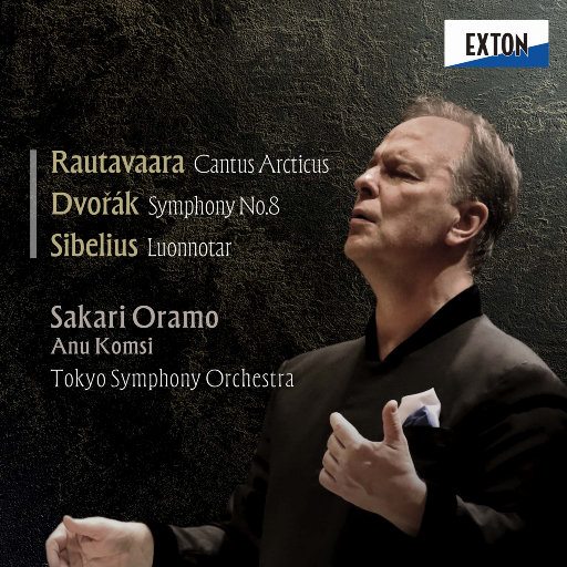 系统图像小鲤导航
