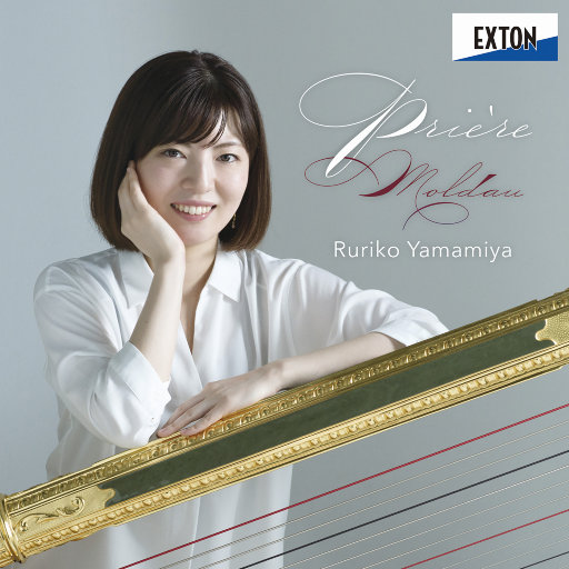 系统图像小鲤导航
